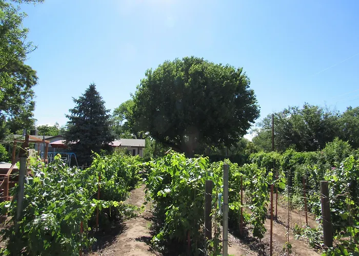 Red Horse Bed And Breakfast